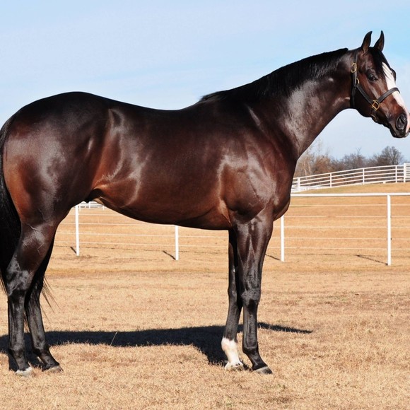 Meet your Posher, David - Picture 1 of 1